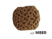 M88D     150: 